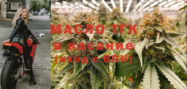 МДПВ Вяземский
